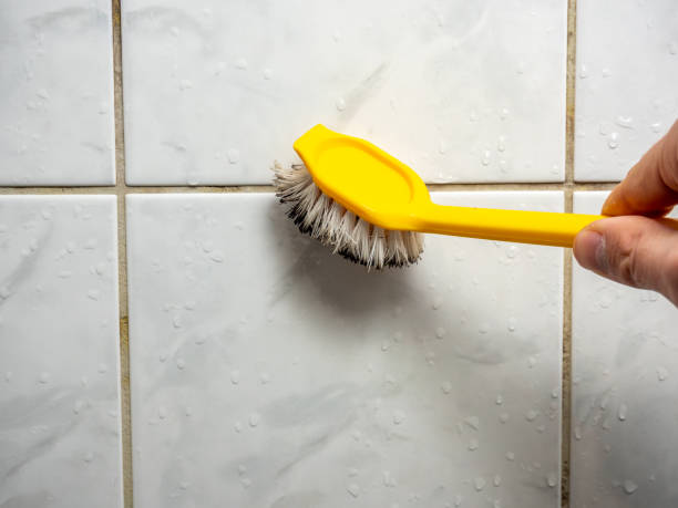 Eunice, LA Mold Removal Company